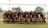 2011 State Championship Soccer