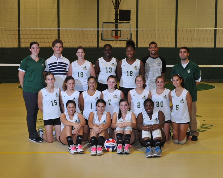 2013 Girls Volleyball