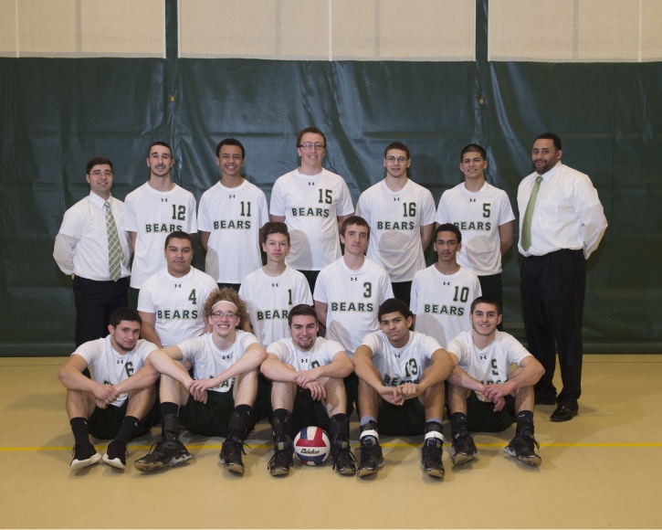 2015 Boys Volleyball