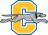 CHS Teams