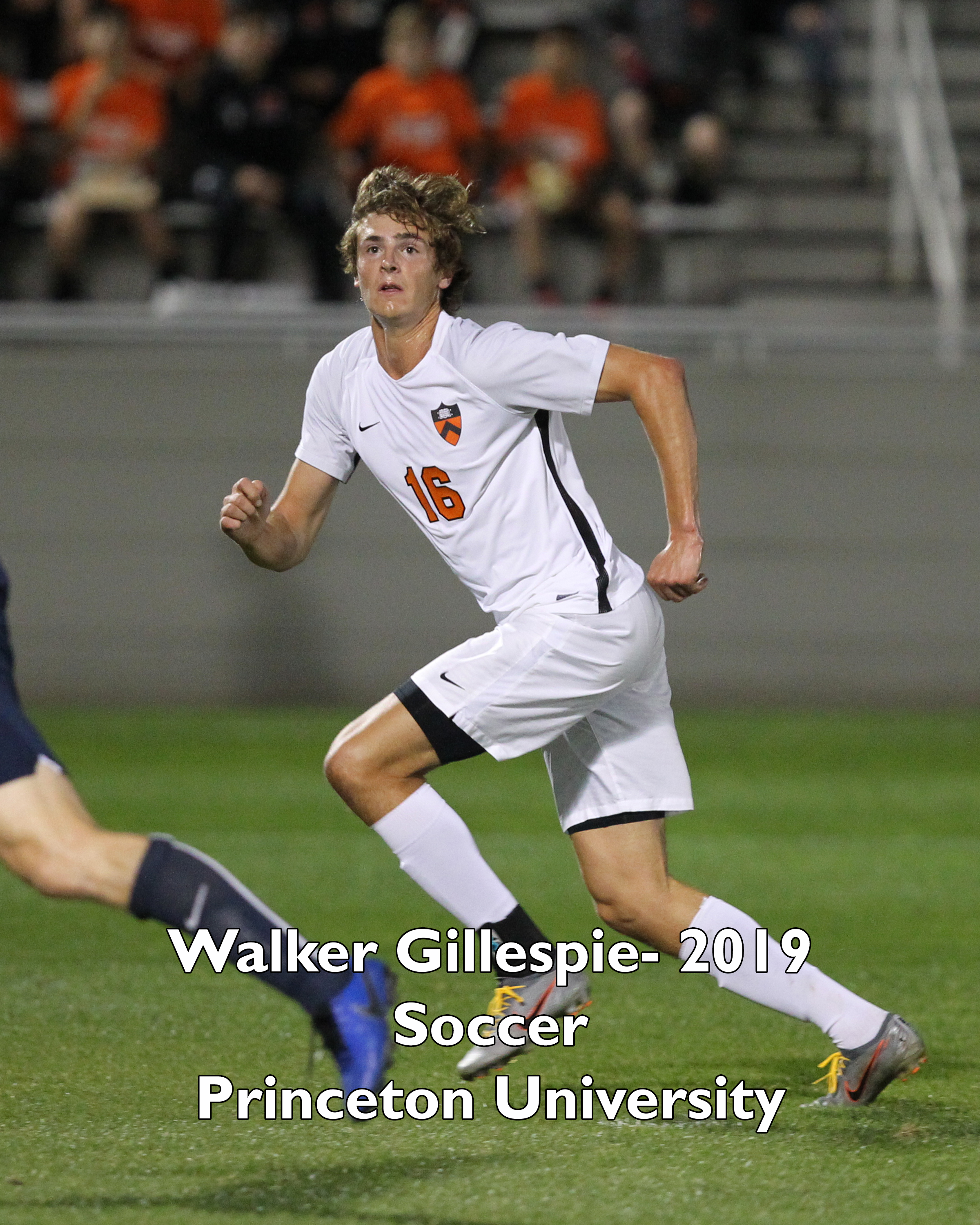 Walker Gillespie