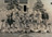 1961 Baseball