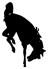 Jackson Broncs Hall of Fame