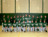 2009 Baseball
