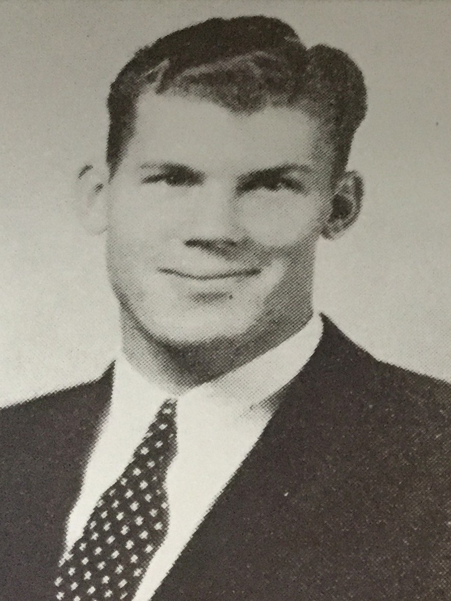 Bingham Luna