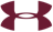 The logo belonging to the presenting sponsor