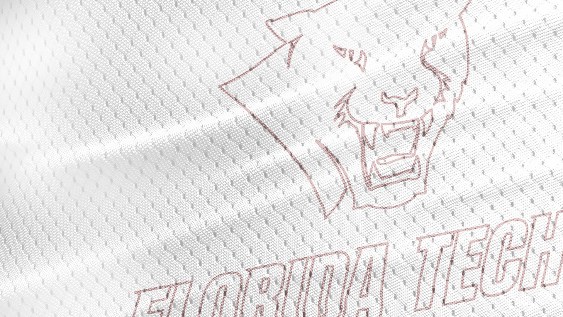 Florida Tech Athletics