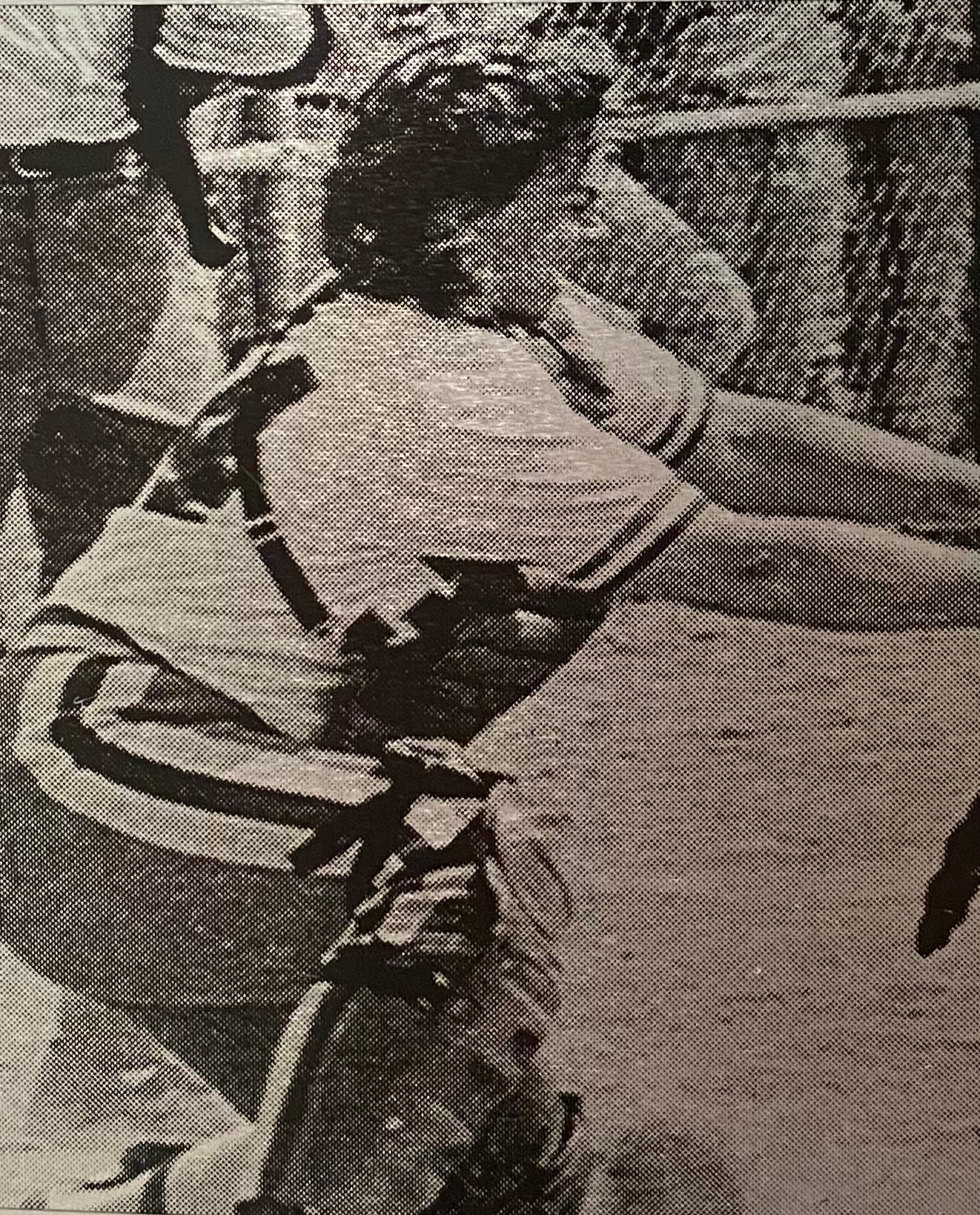 Jennifer Soehner (Zell)